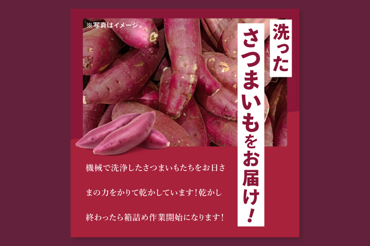 茨城県行方市特産紅はるか 2Sサイズ(A品・B品ミックス) 約10kg｜さつまいも サツマイモ お芋 紅はるか 特産品 茨城県 行方市(FU-5)