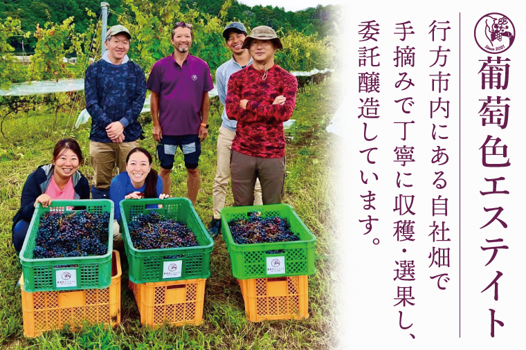 スパークリングワイン「泡3種セット」｜ワイン スパークリングワイン ボトルワイン 酒 お酒 酒類 ボトル ぶどう ブルーベリー ロゼ セット ワインセット 茨城県 行方市(GQ-6)