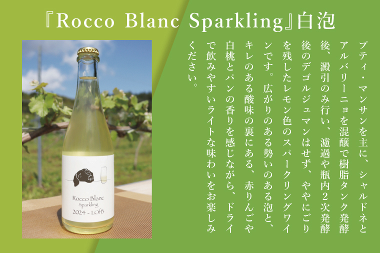 3種の2024ものハーフボトルセット～行方市内の自社畑ぶどう（2024年収穫）で醸造したワイン～｜ワイン  ボトルワイン 酒 お酒 酒類 赤ワイン スパークリングワイン ボトル ぶどう セット ワインセット 茨城県 行方市(GQ-8)