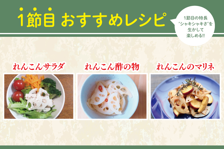 【2025年9月中旬より順次発送】【洗い】「横瀬農園のれんこん」 約２kg（２本入）/ 農家直送 レンコン れんこん 茨城県産 野菜 根菜 行方市産  新鮮 栄養豊富 生産量 日本一(HB-5)