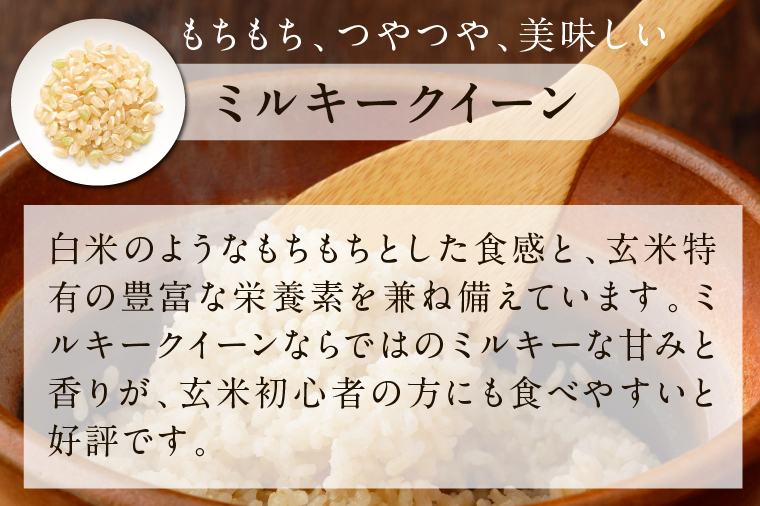 【2025年11月下旬より順次発送】★最短3営業日で発送★ミルキークイーン パックごはん 玄米 18食入り 甘み豊かもちぷち｜米 お米 こめ パックごはん パックご飯 ミルキークイーン 玄米 ごはん 安心 国産 スピード発送 茨城県 行方市(HE-3)