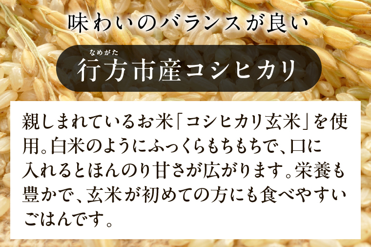 茨城県産コシヒカリ使用 パックごはん(玄米) 160g×18食｜コシヒカリ こしひかり 玄米 パックご飯 パックごはん 備蓄 防災備蓄 簡単 茨城県産 茨城県 行方市 人気 送料無料(HE-6)