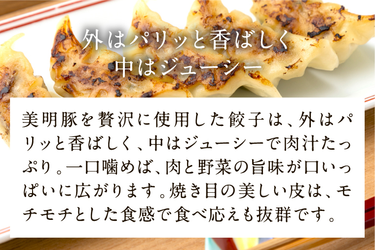 【2025年12月上旬より順次発送】美明豚「びめいとん」のジューシー餃子 1パック(30個入り)｜餃子 ぎょうざ ギョウザ 美明豚 びめいとん 数量限定 肉 肉加工品 豚肉 お肉 ジューシー  茨城県 行方市(HJ-5)