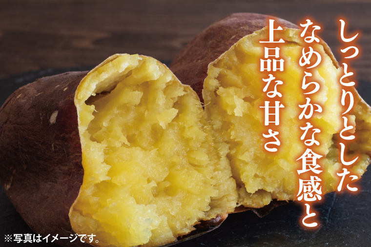 【2025年9月より順次発送】さつまいも(シルクスイート) 約5kg｜さつまいも 芋 サツマイモ シルクスイート 先行予約 茨城県 行方市(HP-2)