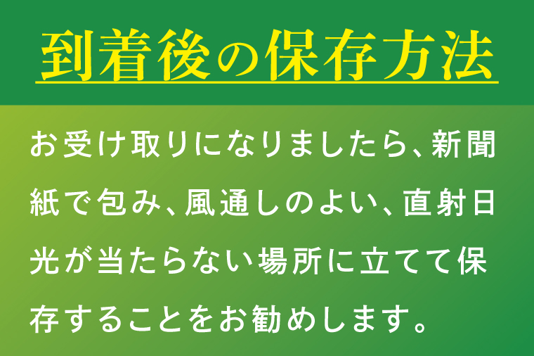 ★訳あり★河野農園自慢の新鮮長ねぎ(規格外) 約3kg｜長ネギ 長ねぎ ネギ ねぎ 葱 野菜 やさい 訳あり わけあり 訳アリ 野菜 新鮮 規格外 茨城県 行方市(HW-1)
