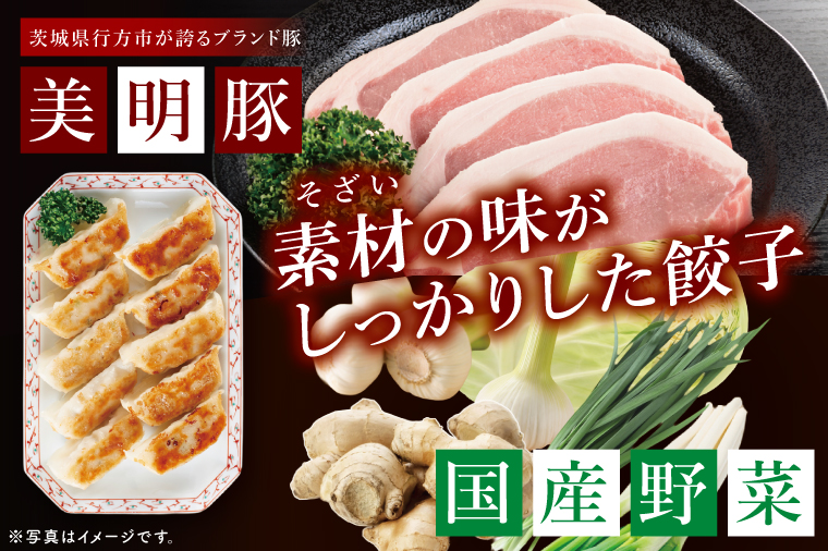 自慢の1品！木村屋の美明豚餃子 60個入り｜肉 お肉 豚肉 美明豚 ブランド豚 国産 餃子 ギョウザ 肉の木村屋 茨城県 行方市(J-20)