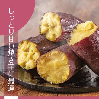 【2025年11月より順次発送】2025年度産 まるで絹のようななめらかなさつまいも シルクスイート 約5kg｜さつまいも 芋 お芋 シルクスイート 渋谷農園 先行予約 茨城県 行方市(BZ-19)