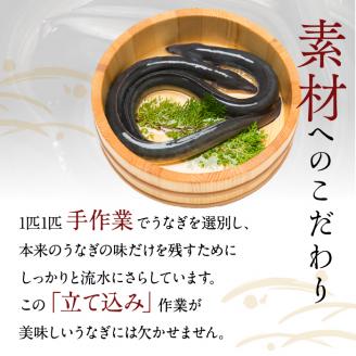 やわらか国内産うなぎ蒲焼き！ 食べ切りサイズ100～120g 5尾　計500g以上|うなぎ 鰻 蒲焼 食べ切り 茨城県 行方市(AD-103-1)