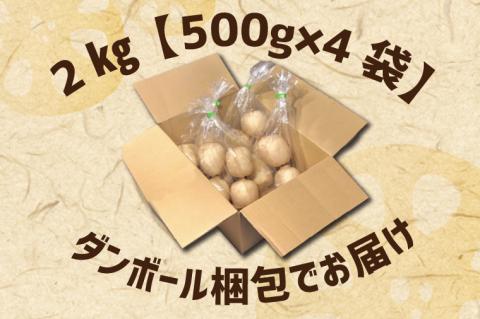レンコン 約2kg｜茨城県 行方市 ふるさと納税 蓮根 レンコン(EG-2)