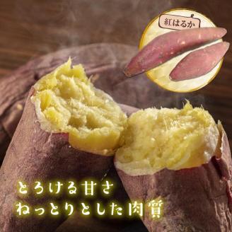 さつまいも　特選紅はるか 約5kg｜さつまいも 芋 お芋 紅はるか タネのハシモト 茨城県 行方市(BS-10)
