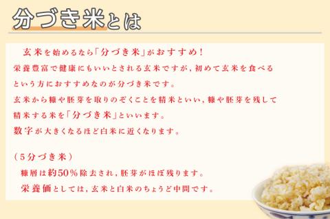 ★真空包装★R7年産こしひかり 4kg(2kg×2袋)【5分づき】｜米 こめ お米 コシヒカリ こしひかり 真空 真空包装 5分づき 人気 個包装 茨城県 行方市 送料無料(CZ-6-3)