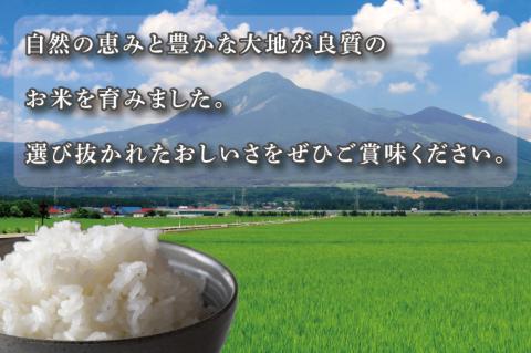 ★真空包装★R7年産こしひかり 8kg(2kg×4袋)【白米】｜米 こめ お米 コシヒカリ こしひかり 真空 真空包装 白米 人気 個包装 茨城県 行方市 送料無料(CZ-8-2)