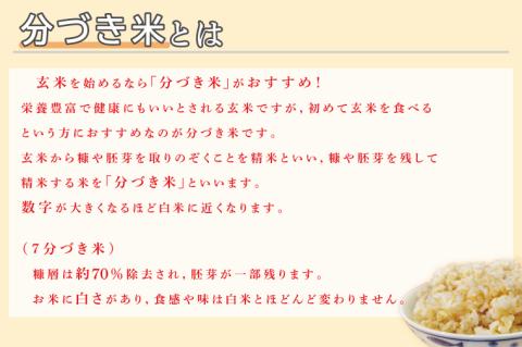★真空包装★R7年産こしひかり食べ比べ 計8kg(2kg×各2袋)【5分づき・7分づき】｜米 こめ お米 コシヒカリ こしひかり 真空 真空包装 5分づき 7分づき 人気 個包装 茨城県 行方市 送料無料(CZ-11-3)