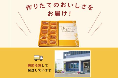 はんなまチーズ 1箱(8個入り)｜デザート スイーツ チーズ はんなま はんなまチーズ  人気 送料無料 茨城県 行方市(H-22-1)