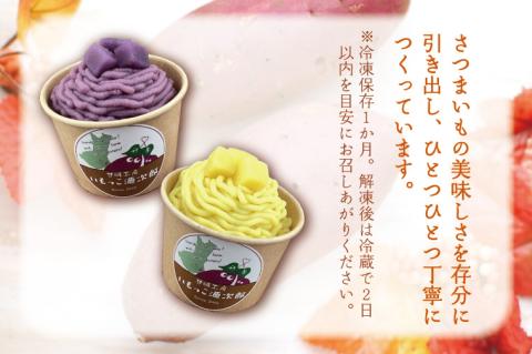 EI-1　2種モンブランセット