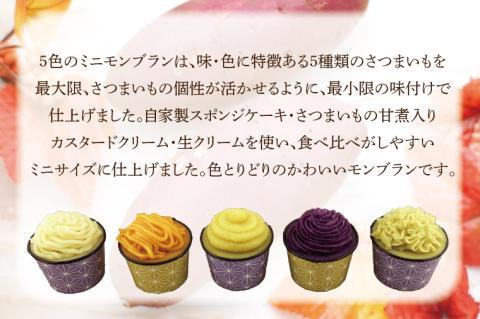 EI-2　焼き菓子・5色のミニモンブラン・行方産焼き芋セット