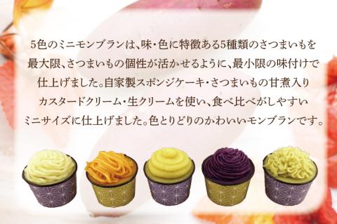 EI-4　焼き菓子・5色のミニモンブラン・行方産焼き芋・2種のモンブランセット