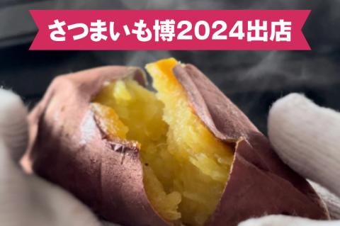 【2025年12月中旬より順次発送】【日本最大級のサツマイモの祭典、さつまいも博2024 出店】はるの優しさ(冷凍やきいも) 約500g｜冷凍 焼芋 焼き芋 やきいも さつまいも さつま芋 熟成 茨城県 行方市 ふるさと納税(GC-1)