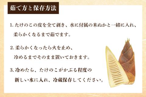 【2026年4月より順次発送】たけのこ 約2kg(米ぬか付き)｜たけのこ タケノコ 筍 旬 米ぬか 堀りたて 先行予約 茨城県 行方市(CP-10)