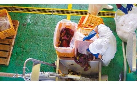 BL-1 さつまいも（紅はるか）100％使用「本格芋焼酎　了（R）」2本