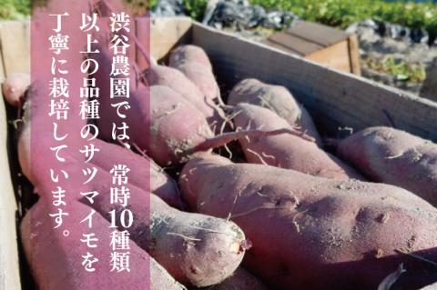 2025年度産 濃厚な甘みのさつまいも 紅はるか 約10kg｜さつまいも 芋 お芋 紅はるか 渋谷農園 茨城県 行方市(BZ-14)