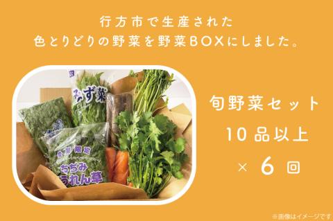 CU-129　【6ヶ月定期便】野菜王国なめがたの旬野菜の定期便