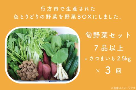 CU-132　【3ヶ月定期便】野菜王国なめがたの旬野菜の定期便（さつまいも入り）