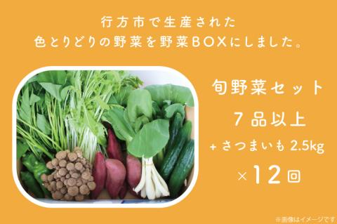 CU-134　【12ヶ月定期便】野菜王国なめがたの旬野菜の定期便（さつまいも入り）