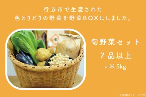 【野菜王国】なめがたの旬 野菜便(米 5kg入り)｜茨城県 行方市(CU-135)