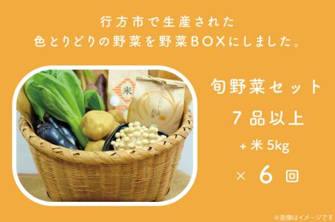 【6ヶ月定期便】野菜王国なめがたの旬 野菜便(米 5kg入り)｜茨城県 行方市(CU-137)