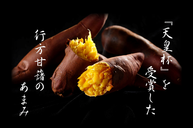 ～GI登録「さつまいも」使用～「行方かんしょとれんこんのカレー」＆「パックご飯」各18個セット｜カレー レトルト レトルトカレー パックご飯 ごはん レンジ コシヒカリ 非常食 ご当地 ご当地カレー 人気 オススメ 便利 特産品 地元特産品 茨城県 行方市(AE-148)