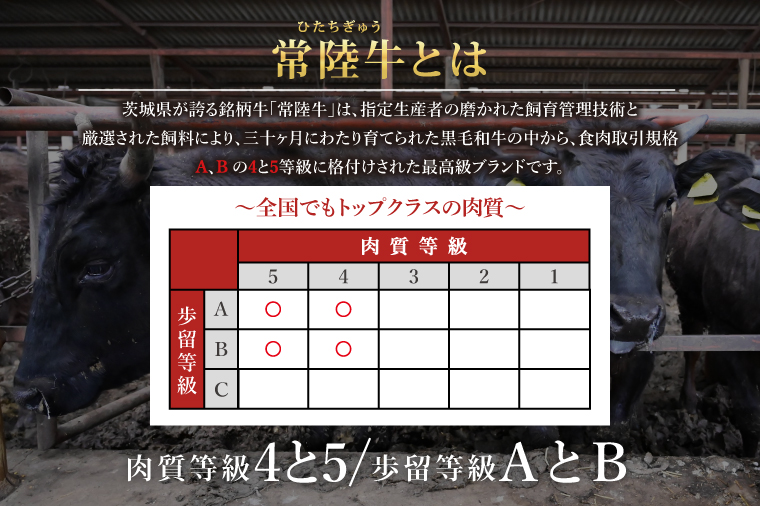 常陸牛100％カレー 200g×6個｜カレー レトルトカレー 常陸牛 人気 簡単 茨城県 行方市(AP-13)