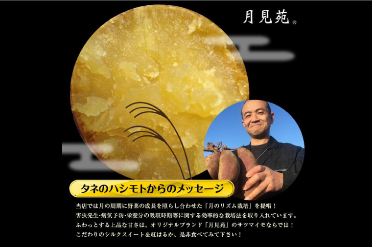 【訳あり】さつまいも　シルクスイート 約10kg｜さつまいも 芋 お芋 わけあり 訳あり シルクスイート タネのハシモト 茨城県 行方市(BS-22)