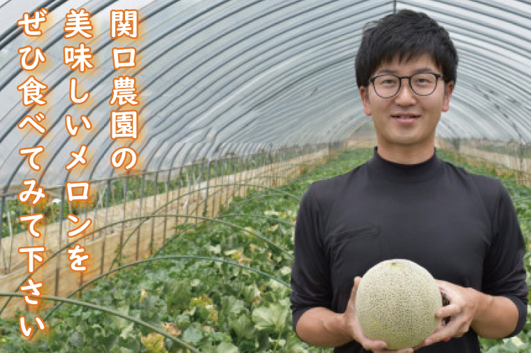 【2026年5月より順次発送】特大玉イバラキングメロン＆クインシーメロン（各1玉／計2玉）｜メロン クインシーメロン イバラキングメロン フルーツ 果物 くだもの 特大 先行予約 茨城県 行方市(BW-16-1)