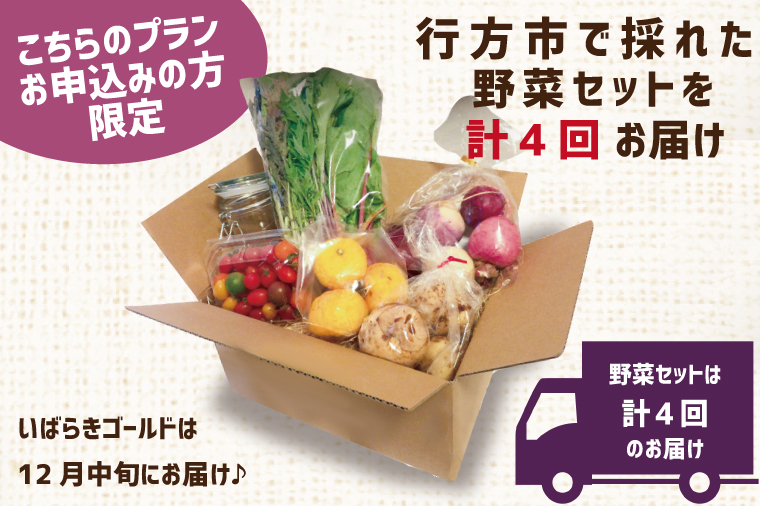 【早割C1プラン】2026年度おいも株オーナー制度 1口｜さつまいも 芋 サツマイモ お芋 おいも株 株 オーナー いばらきゴールド 野菜 野菜セット 定期便 らぽっぽファーム 体験 農園 茨城県 行方市(CQ-10-1)