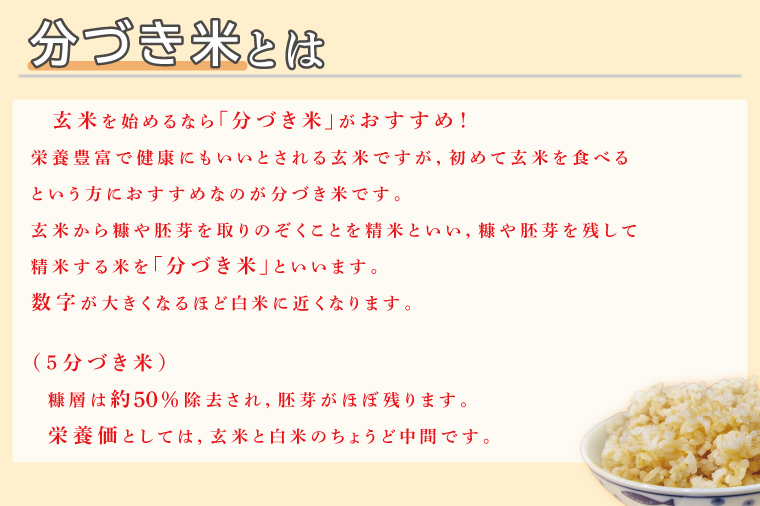 ★真空包装★R7年産こしひかり食べ比べ 計4kg(2kg×各1袋)【5分づき・7分づき】｜米 こめ お米 コシヒカリ こしひかり 真空 真空包装 5分づき 7分づき 人気 個包装 茨城県 行方市 送料無料(CZ-7-3)
