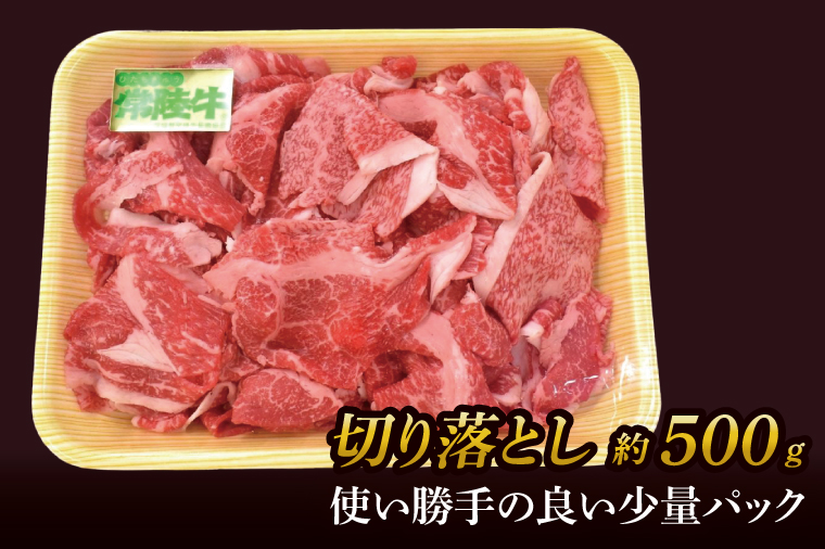 美明豚小間切れ＆常陸牛切り落とし 計1kg(各約500g×1)｜肉 お肉 牛肉 肉類 牛肉 常陸牛 美明豚 切り落とし 小間切れ セット アソート ブランド 使い切り 少量 茨城県 行方市(DH-32)