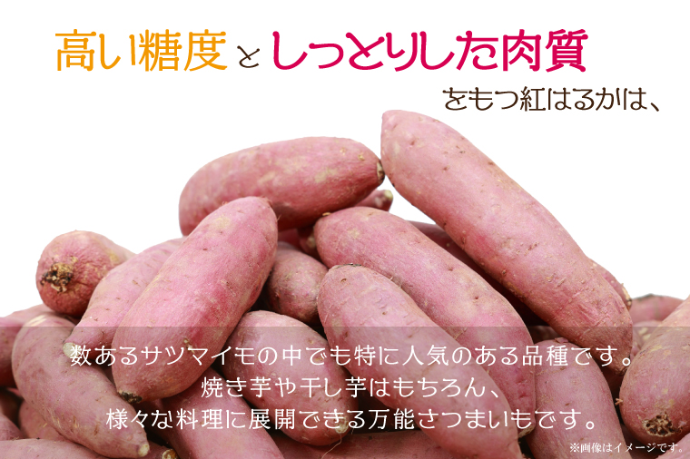【2026年1月より順次発送】農産物直売所「やさいの声」熟成紅はるか 洗い 約5kg|さつまいも サツマイモ 紅はるか 熟成 洗い 行方市 ふるさと納税(EK-12)