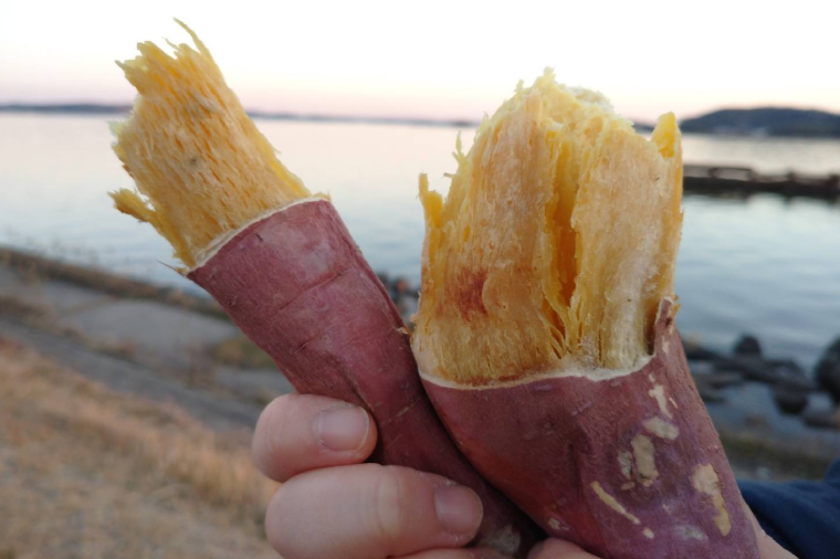 FD-2　【数量限定】つけもの屋が焼いた『やきいも』約2kg（漬物付き）