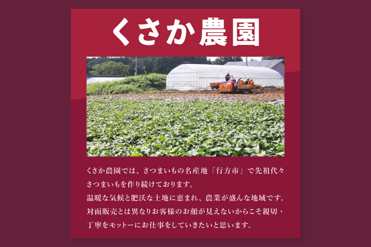 茨城県行方市特産紅はるか 2Sサイズ(A品・B品ミックス) 約10kg｜さつまいも サツマイモ お芋 紅はるか 特産品 茨城県 行方市(FU-5)