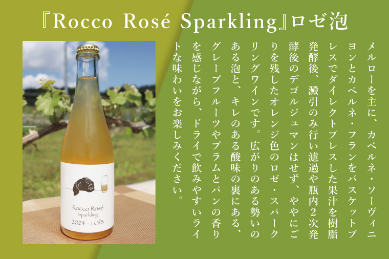 3種の2024ものハーフボトルセット～行方市内の自社畑ぶどう（2024年収穫）で醸造したワイン～｜ワイン  ボトルワイン 酒 お酒 酒類 赤ワイン スパークリングワイン ボトル ぶどう セット ワインセット 茨城県 行方市(GQ-8)
