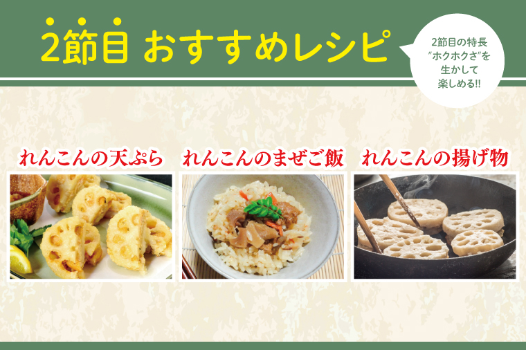 【2025年9月中旬より順次発送】【真空パック】【洗い】【食べ比べ】「横瀬農園のれんこん」（節切り小分け食べ比べ品）約2kg（4～5袋）｜ 農家直送 レンコン れんこん 茨城県産 野菜 根菜 行方市産  新鮮 栄養豊富 生産量 日本一(HB-4)