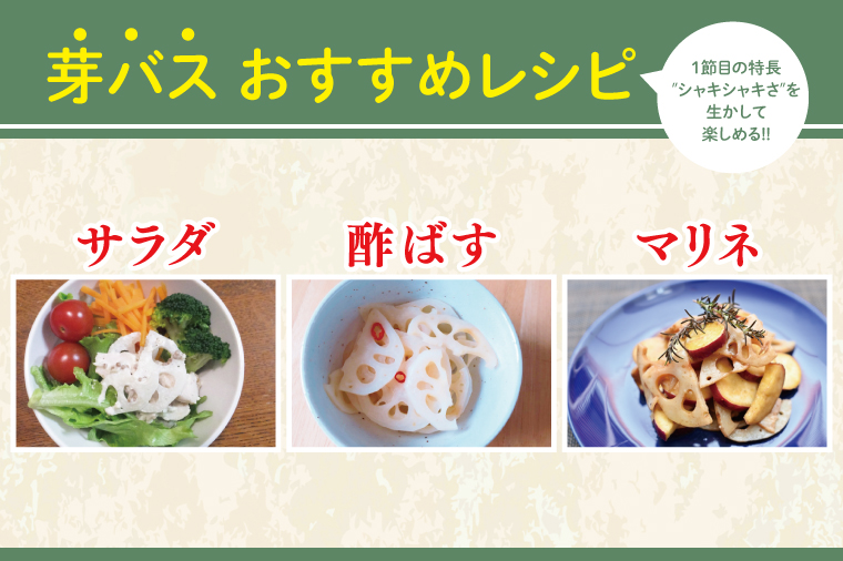 【2025年9月中旬より順次発送】【真空パック】【洗い】【柔らかい】「横瀬農園の芽バスれんこん」 約２kg（400?500ｇ×4?5袋）/ 農家直送 レンコン れんこん 茨城県産 野菜 根菜 行方市産  新鮮 栄養豊富 生産量 日本一(HB-6)