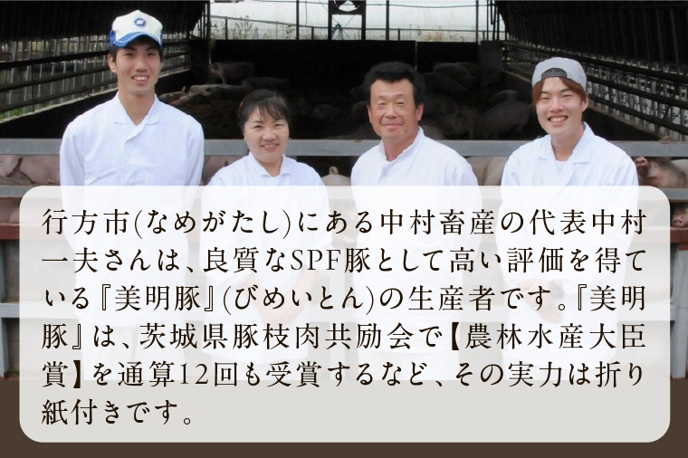 【2025年12月中旬より順次発送】焼売 美明豚「びめいとん」のジューシー焼売2パック（30g×20個×2袋）｜シュウマイ 焼売 美明豚 びめいとん 肉 肉加工品 豚肉 お肉 ジューシー 先行予約 茨城県 行方市(HJ-1-1)