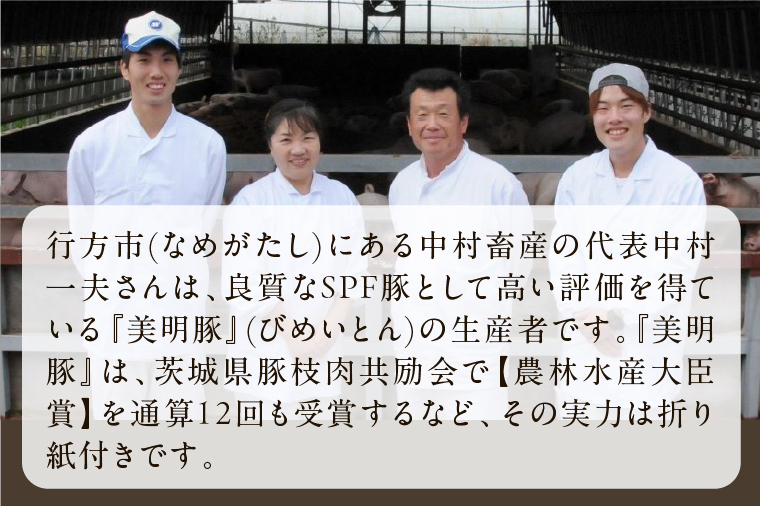 【2025年12月上旬より順次発送】美明豚「びめいとん」のジューシー餃子 2パック(30個入り×2袋)｜餃子 ぎょうざ ギョウザ 美明豚 びめいとん 数量限定 肉 肉加工品 豚肉 お肉 ジューシー 先行予約 茨城県 行方市(HJ-2)