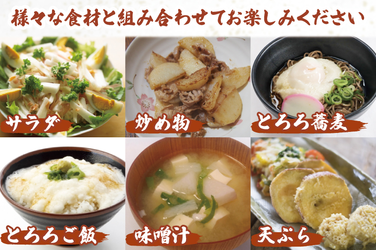 【2025年12月より順次発送】風間商店さんのながいも 約2kg(6～7本)｜ながいも いも 芋 長芋 野菜 やさい 人気 美容 健康 腸活 味噌汁 天ぷら 茨城県 行方市 行方市産(HO-1)