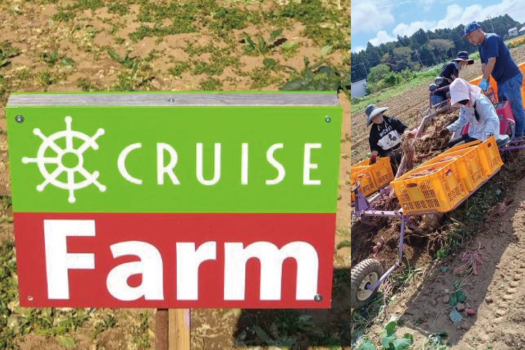 【2025年9月より順次発送】さつまいも(紅はるか) 約5kg｜さつまいも 芋 サツマイモ 紅はるか 先行予約 茨城県 行方市(HP-1)