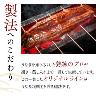 やわらか国内産うなぎ蒲焼満足サイズ！120～140g 4尾　計480g以上|うなぎ 鰻 蒲焼 満足 茨城県 行方市(AD-83-1)