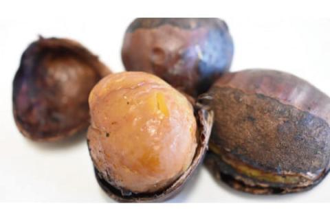 【2025年10月中旬より順次発送】なめがたの焼き栗(300g×3袋)｜栗 焼き栗 焼栗 くり クリ 熟成 真空 真空パック 先行予約 茨城県 行方市(CS-1)