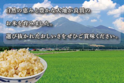 ★真空包装★R7年産こしひかり 4kg(2kg×2袋)【5分づき】｜米 こめ お米 コシヒカリ こしひかり 真空 真空包装 5分づき 人気 個包装 茨城県 行方市 送料無料(CZ-6-3)
